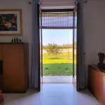Casanoha Holiday home *