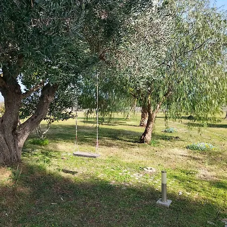 Casanoha Holiday home San Cesario di Lecce